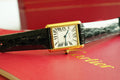 TANK MUST DE SOLO 30MM GOLD CASE LEATHER STRAP