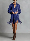Fringed Lantern Sleeve Dress