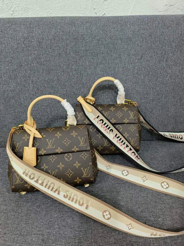 Louis Vuitton Cluny Mini Bag