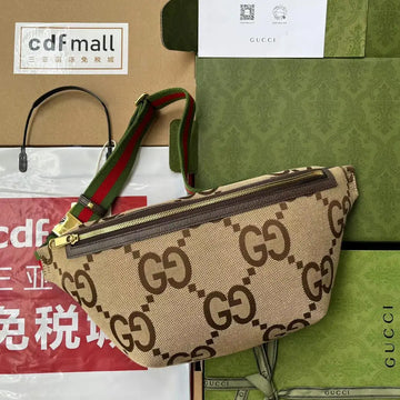 Gucci Canvas Belt Bag