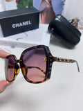 SQUARE SUNGLASSES 632875 IN HAVANA ACETATE