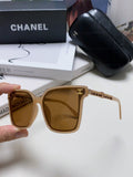 SQUARE SUNGLASSES 632884 IN BEIGE CLEAR ACETATE