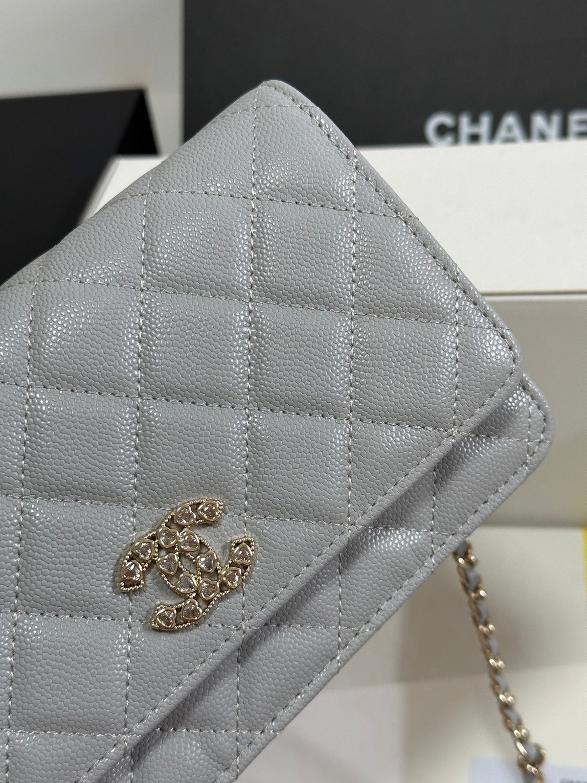 STRASS WOC ENTRUPY BAG 19 IN SPANISH GREY CALFSKIN GOLD HARDWARE